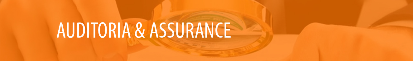 cabeza_auditoria_1
