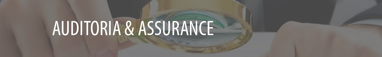 cabeza_auditoria_2